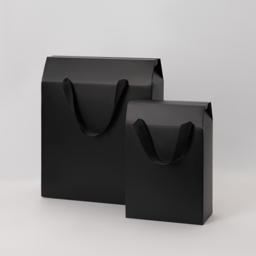 Подарочная коробка-пакет универсальная малая, черная